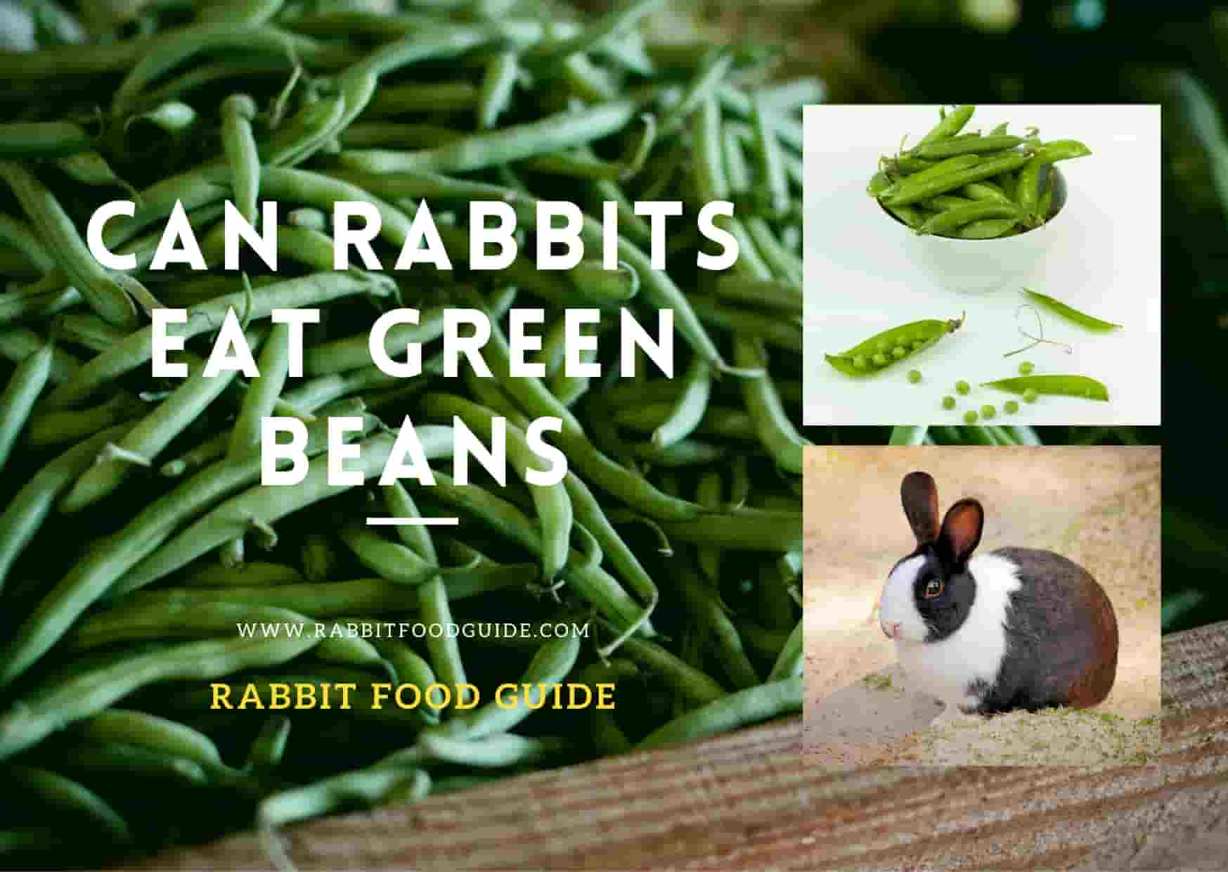 can rabbits eat green beans