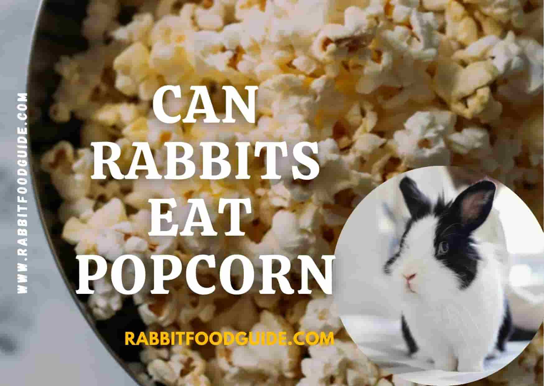 can rabbits eat popcorn
