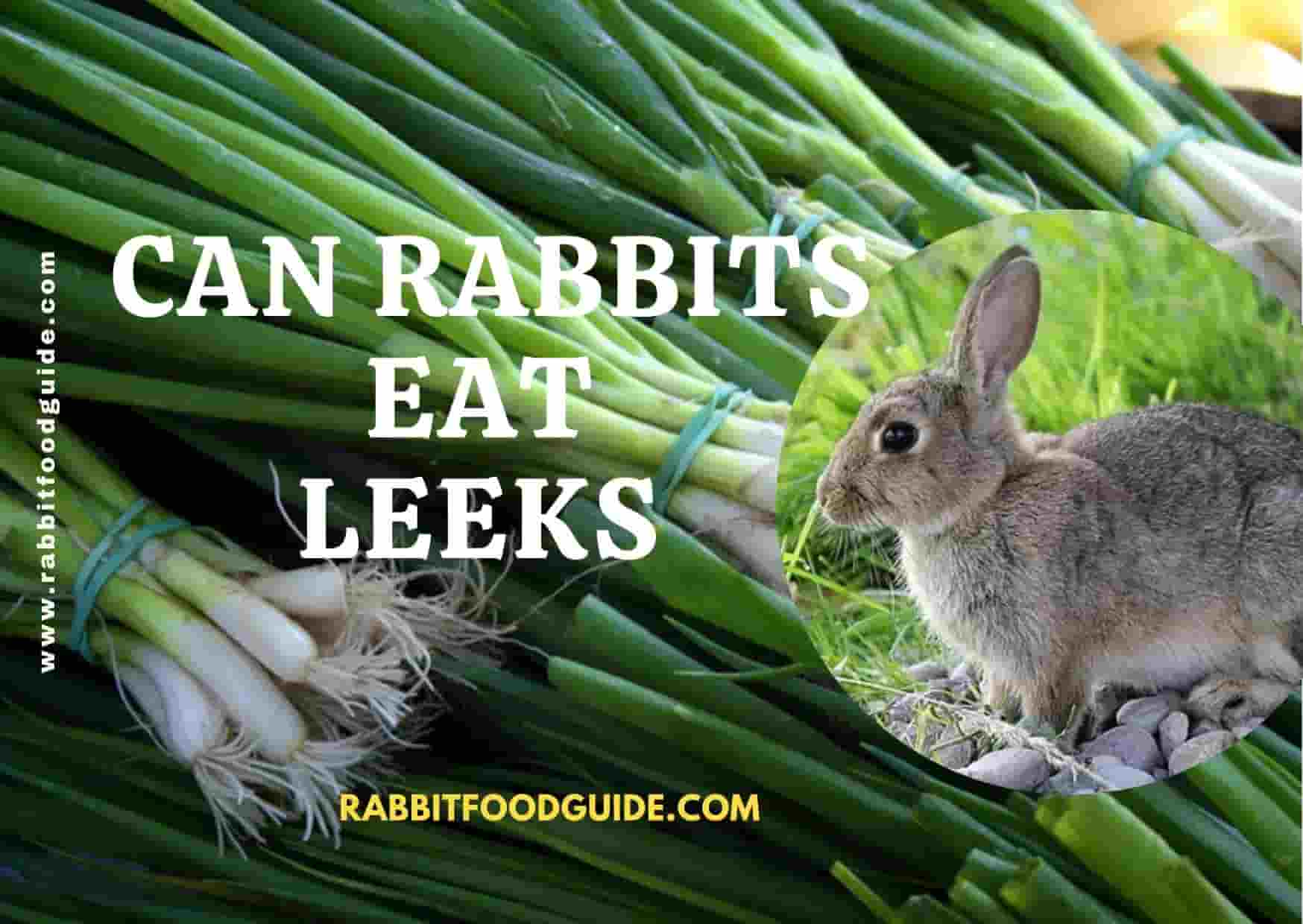 can rabbits eat leeks