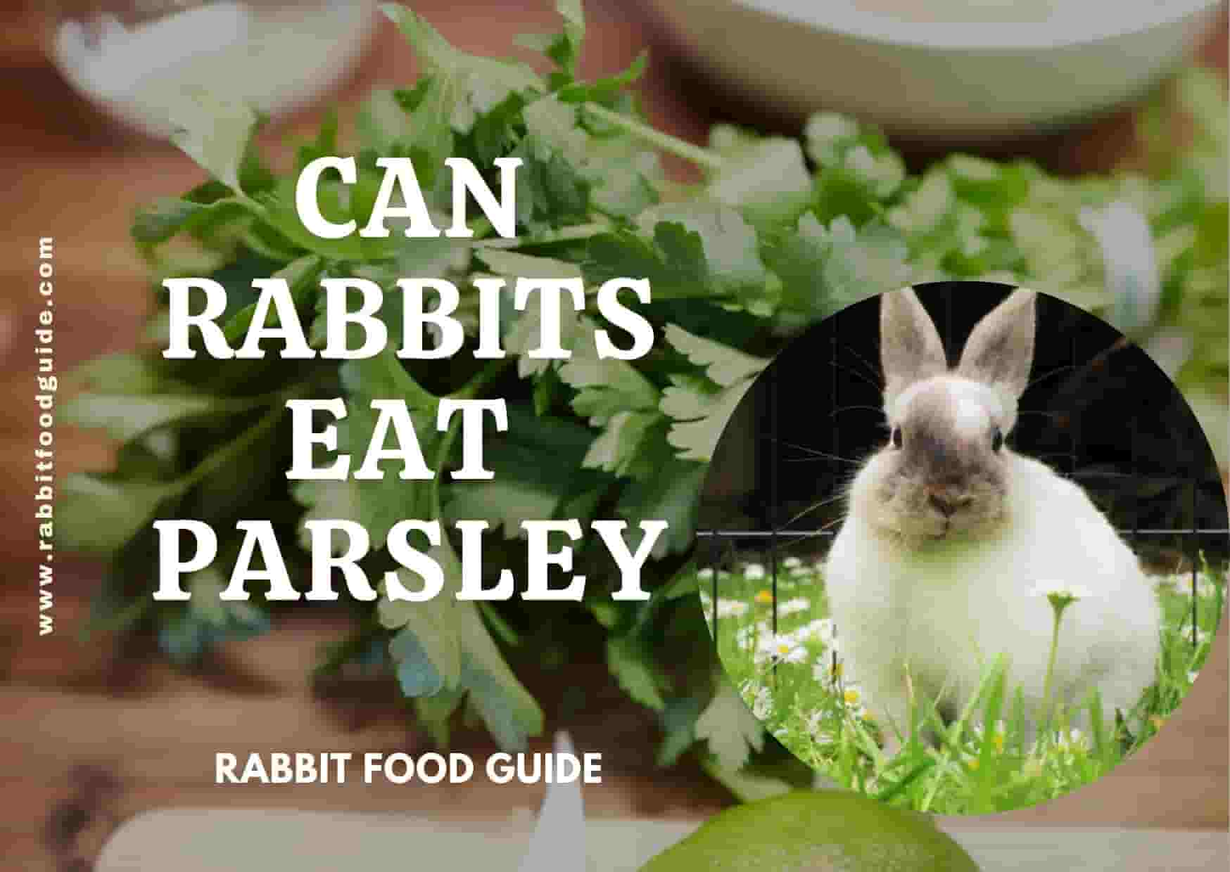 can rabbits eat parsley