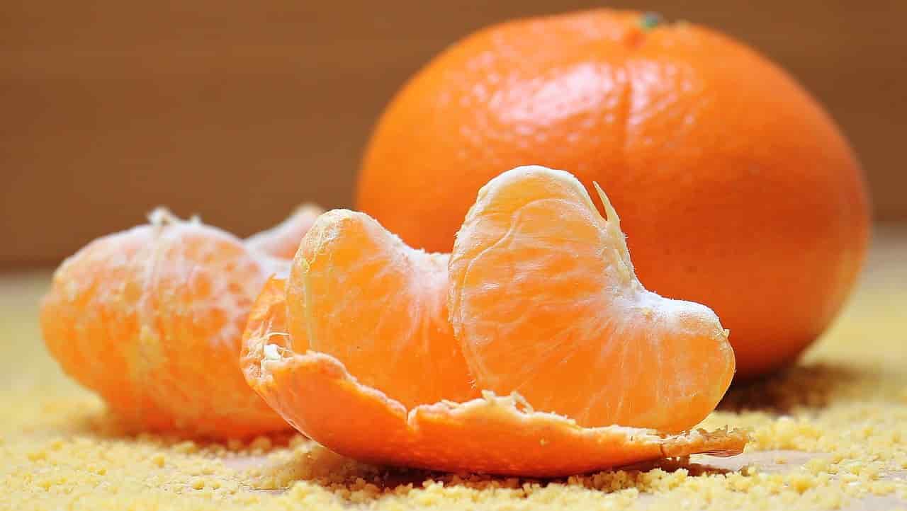 Benefits of oranges to rabbits