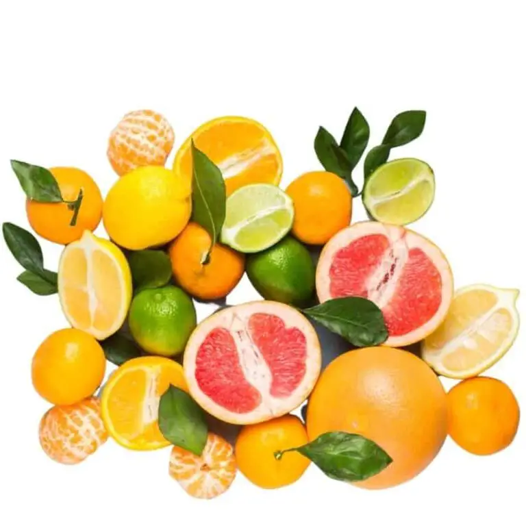 Can Rabbits Eat Oranges? Learn From Rabbit Experts!