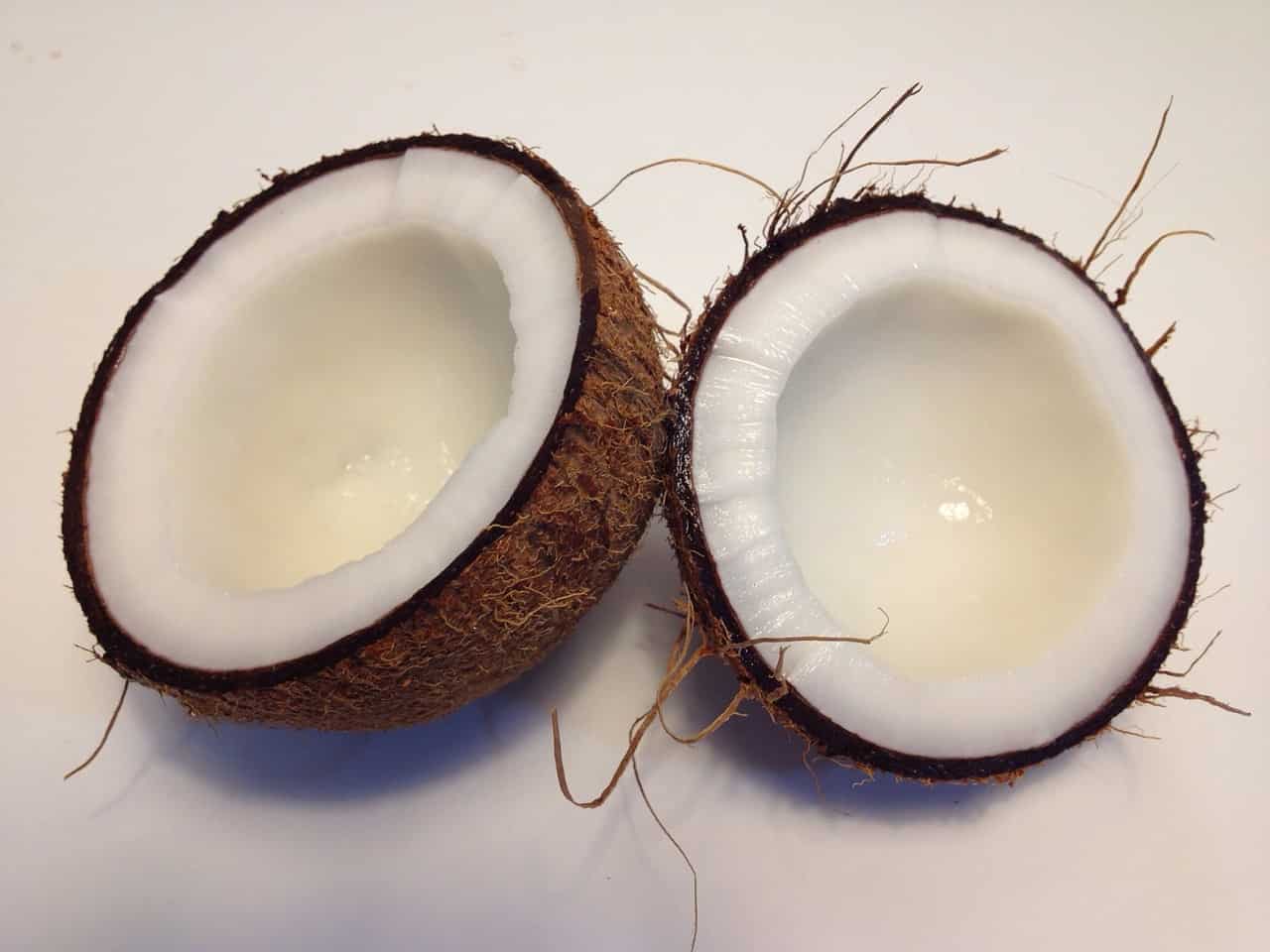 Can Rabbits Eat Coconuts? Risk, Issues & Complete Guide