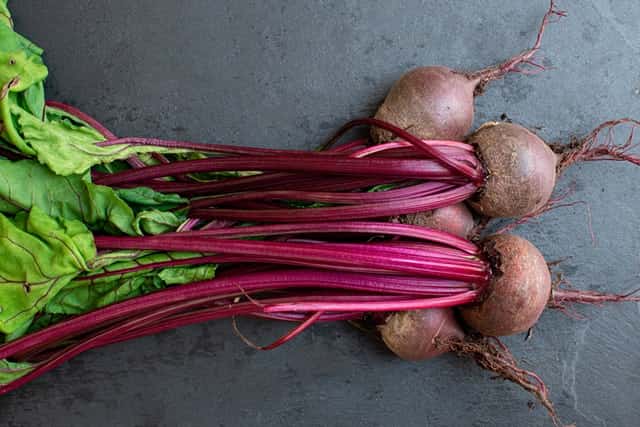 benifits of beets for rabbits