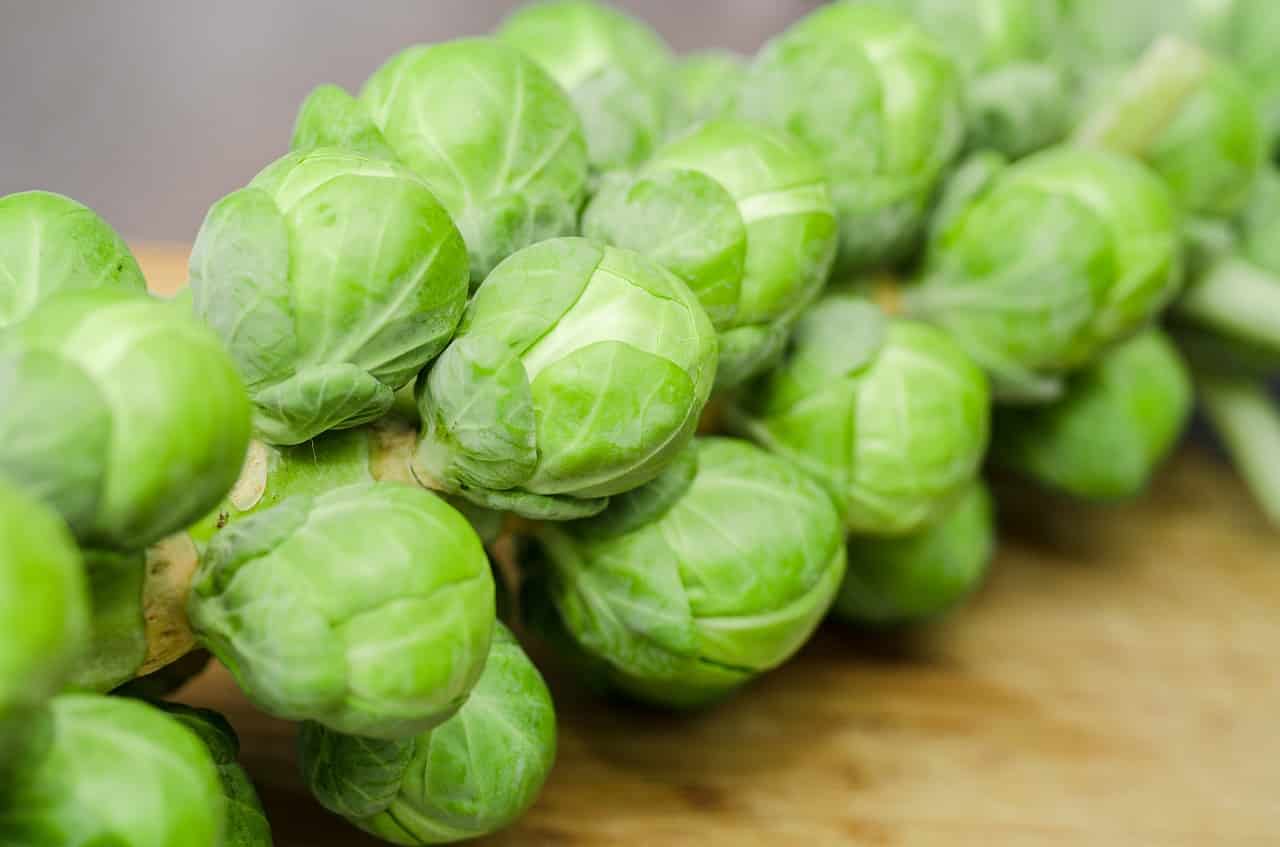 do rabbits eat Brussel sprouts