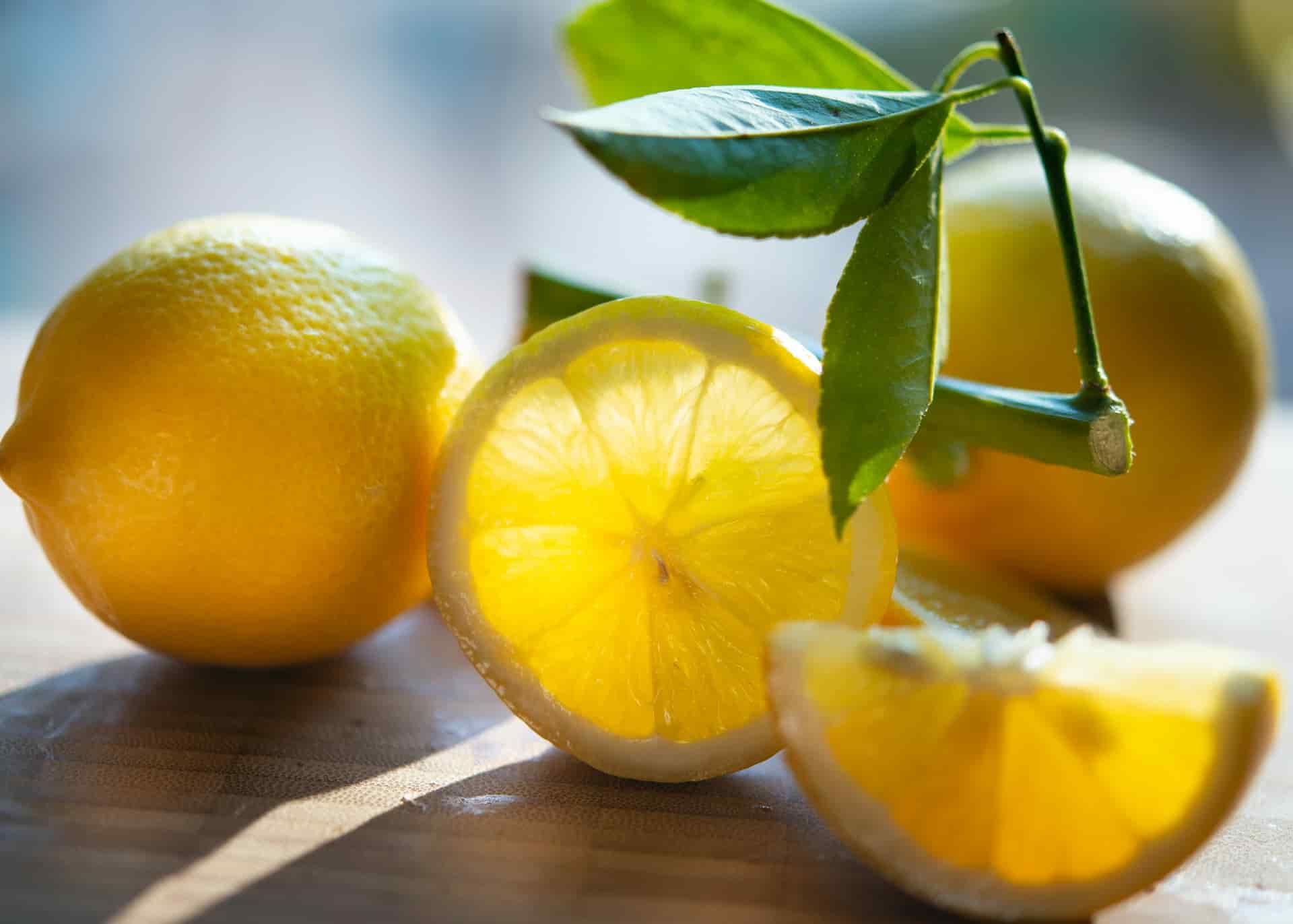 how often should we feed lemons to rabbits