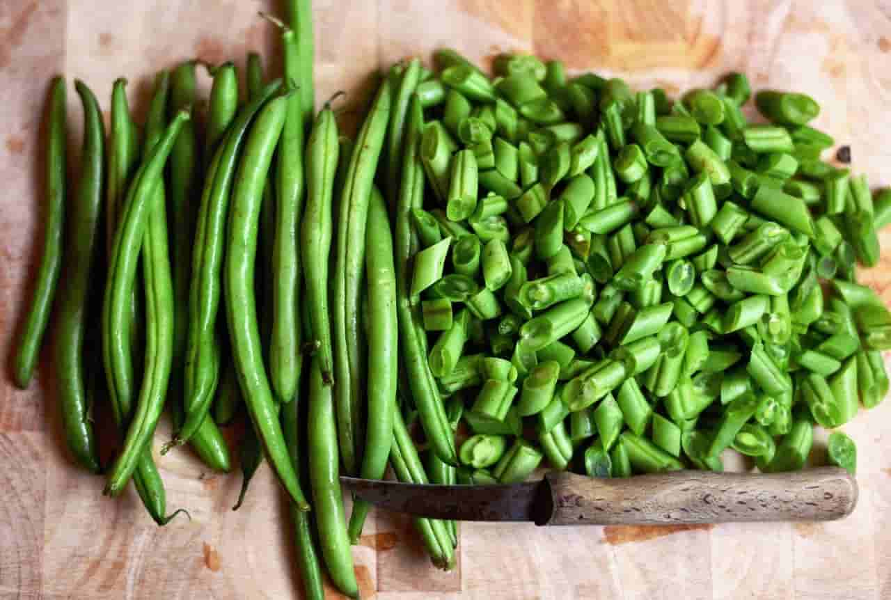 how to feed green beans for rabbits