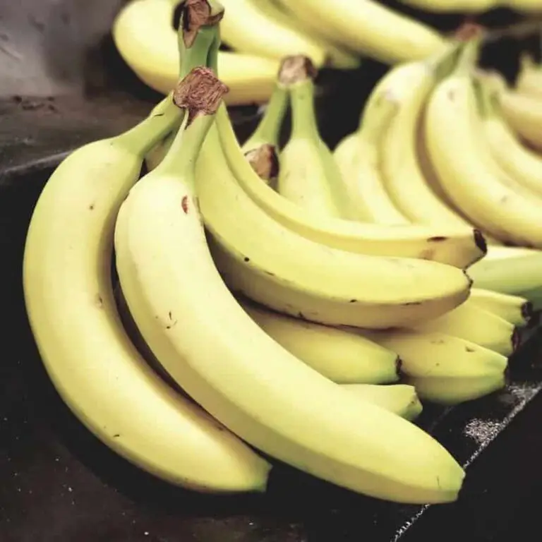 Can Rabbits Eat Bananas? Benefits & Extra Preparation Guide