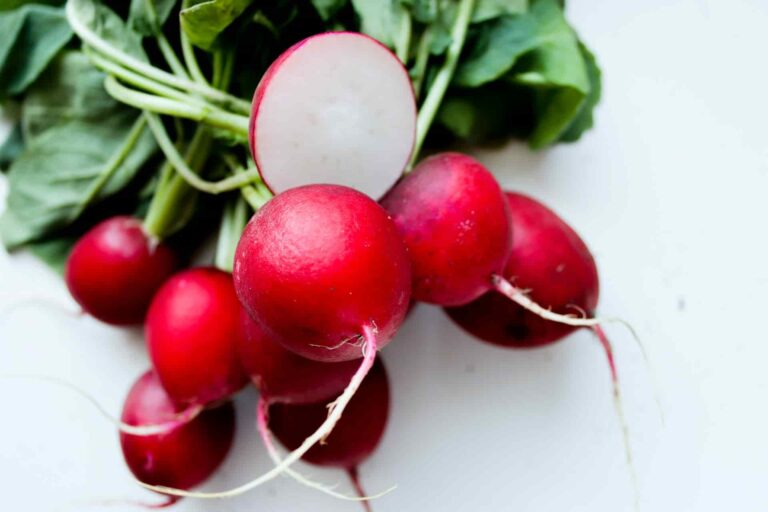Can Rabbits Eat Radishes? Complete Health Guide & Issues