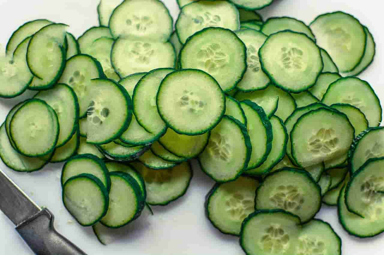 How to feed cucumber tp rabbits