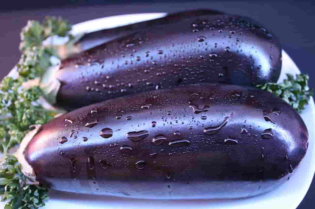 benefits of eggplant for rabbits