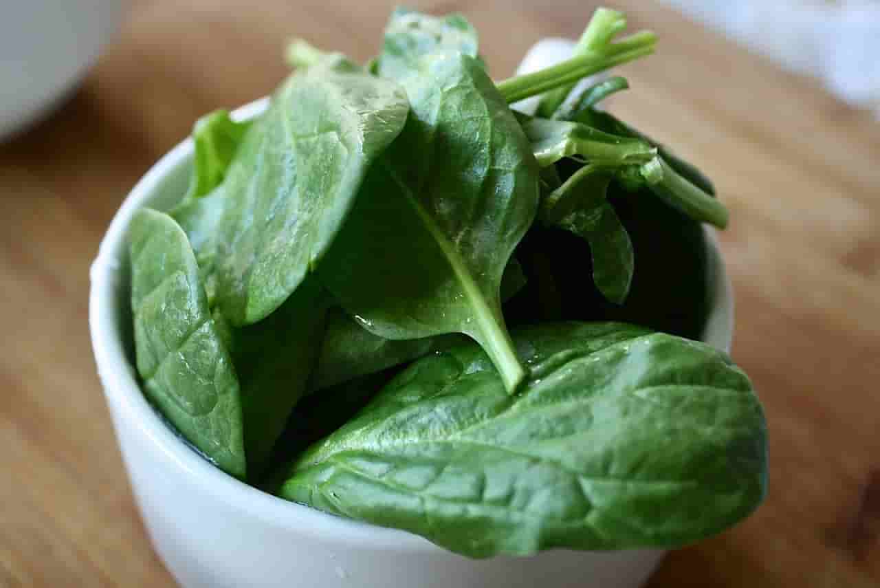 Can Rabbits Eat Spinach? 100 Complete Full Guide