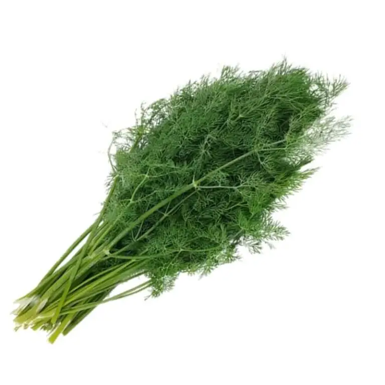 Can Rabbits Eat Dill? Benefits, Safety, Issues & Extra Preparation Guide