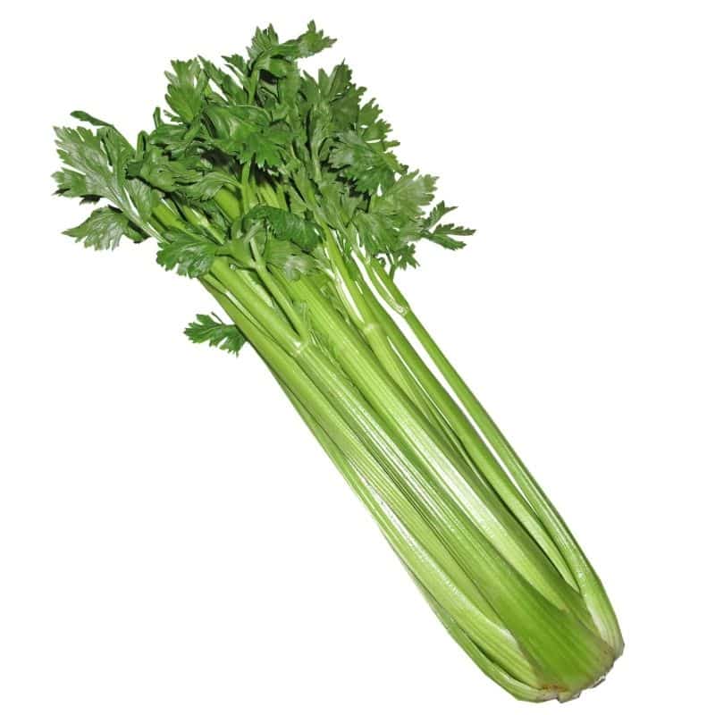 celery good for rabbits
