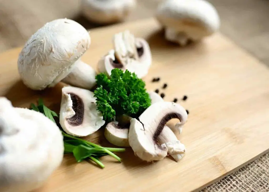 Can Rabbits Eat Mushrooms? Risk, Issues & Complete Guide