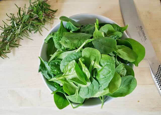how to feed spinach to rabbits 