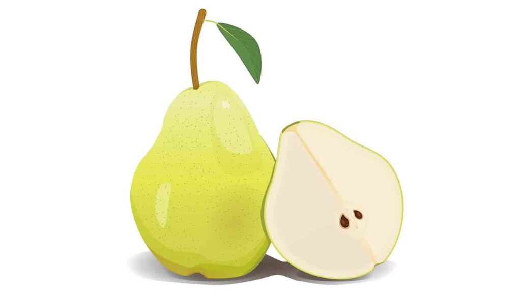 Can Rabbits Eat Pears? Proper Guide & Things We Should Know
