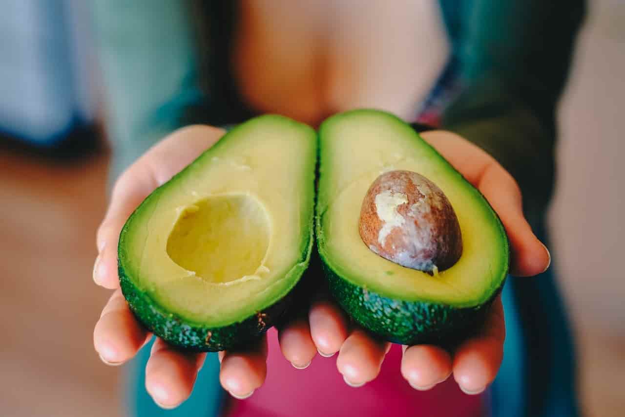 why avocado unhealthy  for rabbits