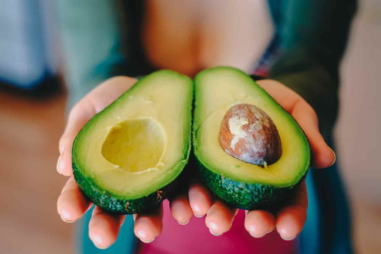 why avocado unhealthy for rabbits