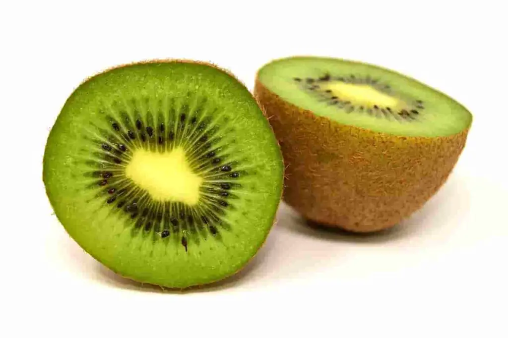 Can bunnies eat kiwi?