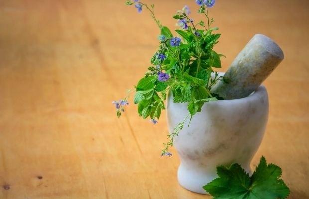 rabbitfoodguide-herbs