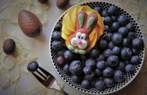 rabbitfoodguide-fruits